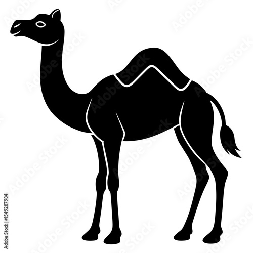 camel in desert