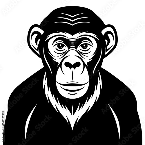chimpanzee