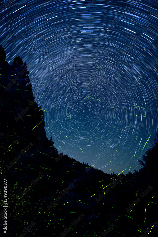 Fototapeta premium 飛び交う蛍の乱舞と星の光跡のコラボ 