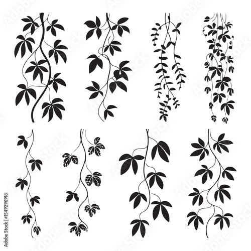 Climbing Plant and Hanging Vine Silhouette Collection Jungle Creeper Set