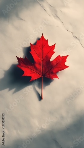 minimal design with red maple leaf on white paper background and soft shadows.  canada day