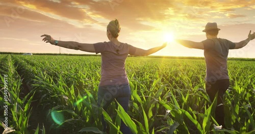 Male and female farmer are running through rows of green corn in the field on a beautiful sunny summer day, slow motion. Landscape rural scene in the golden light of sunset