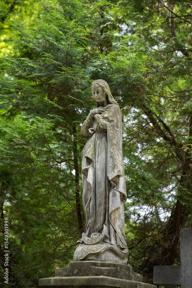 Weathered stone statue of a serene woman with folded hands, possibly the Virgin Mary, in a cemetery surrounded by green forest. Symbol of peace, mourning, and spirituality. Weathered stone statue of a serene woman with folded hands, possibly the Virgin Mary, in a cemetery surrounded by green forest. Symbol of peace, mourning, and spirituality.