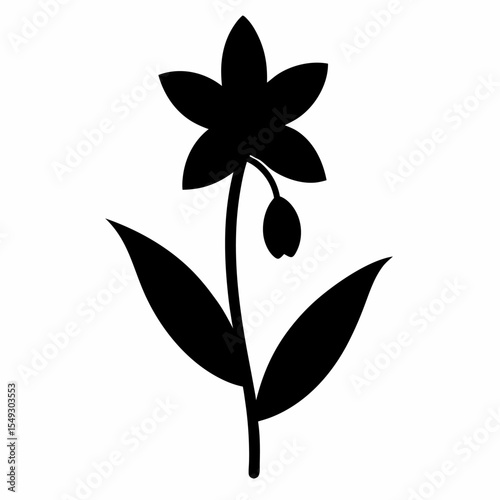 siberian squill flower silhouette on-white background
