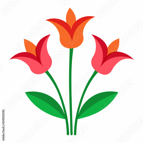 triplet lily on white background