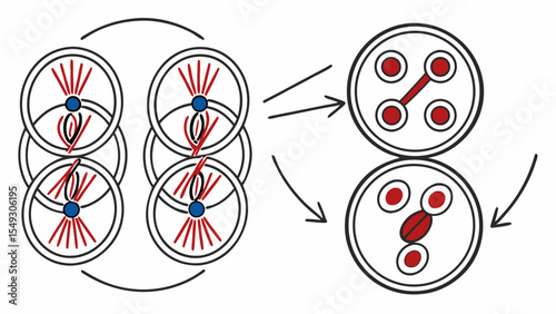 cell-division-icon-set