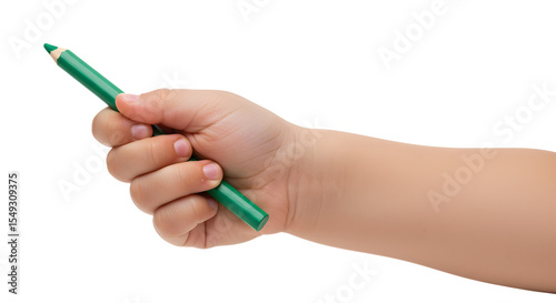 Child's Hand Holding Green Pencil Crayon Ready for Drawing Art