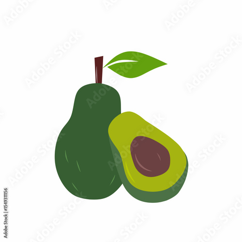 vector illustration of avocado