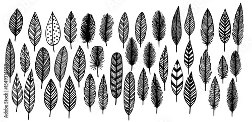 Hand-drawn feather set – elegant black and white vector illustration featuring a variety of intricate feather designs