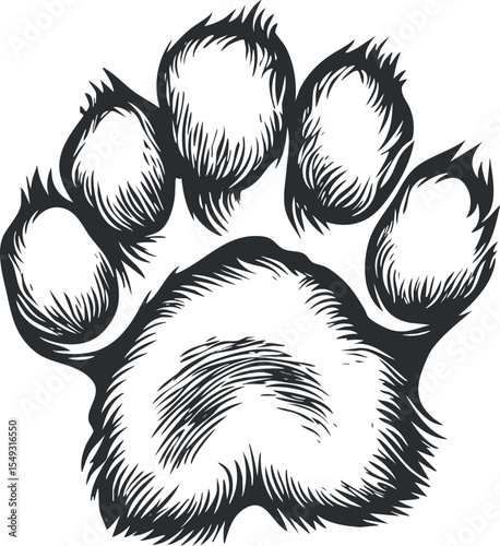 Black and white detailed drawing of an animal paw print with claws and fur texture