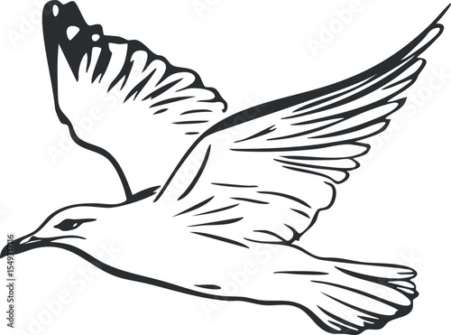 Black and white vector illustration of a seagull bird flying with wings spread wide in flight