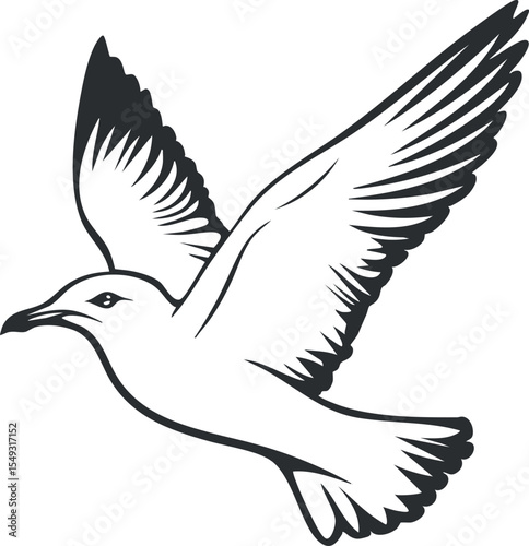 Black and white vector illustration of a seagull bird flying with wings spread wide in flight.