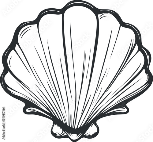 Black and white line drawing of a scallop seashell with detailed ridges and contours