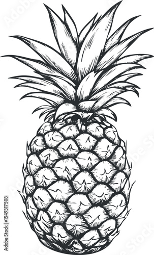 Black and white detailed sketch illustration of a whole ripe pineapple with leaves on top