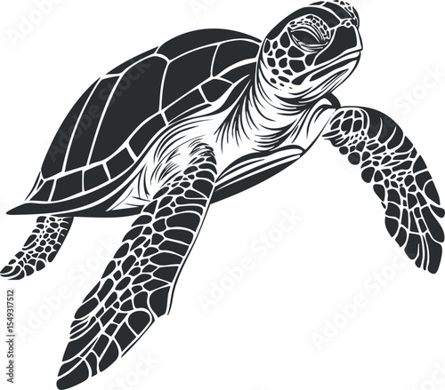 Black and white detailed illustration of a sea turtle swimming with textured shell and flippers
