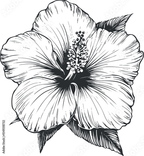 Black and white detailed sketch of a hibiscus flower with petals and leaves isolated on white background.