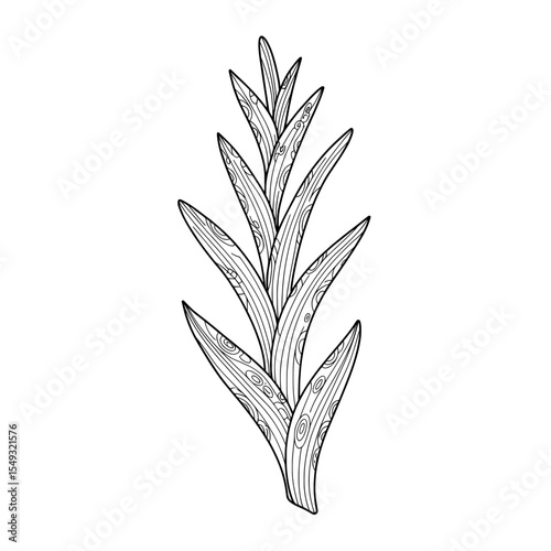 An outlined fern-like branch with elongated leaves and patterned interiors on a white backdrop