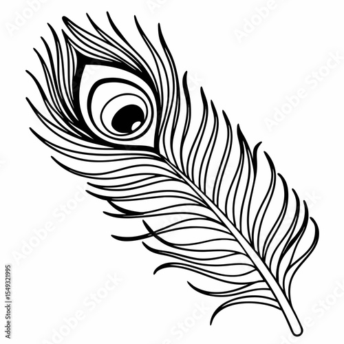 feather vector illustration