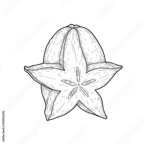Black and white detailed line art of a halved star fruit with seeds on a white background