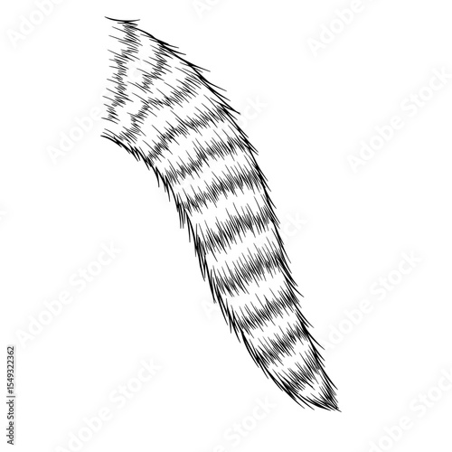 Curved tail illustration with alternating dark and light fur sections, white background