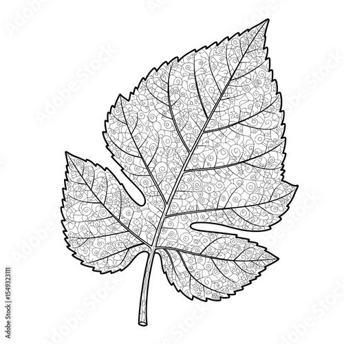 Intricate leaf veins form a complex pattern on a detailed, black and white leaf illustration