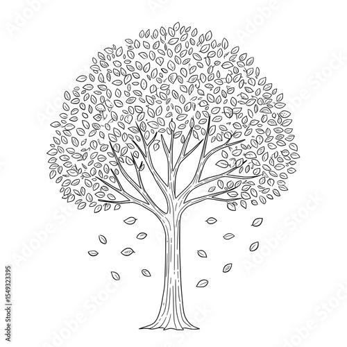 Line drawing of a large tree with many leaves and a few leaves on ground below
