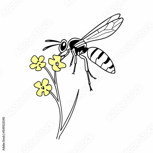 dragonfly on a white background