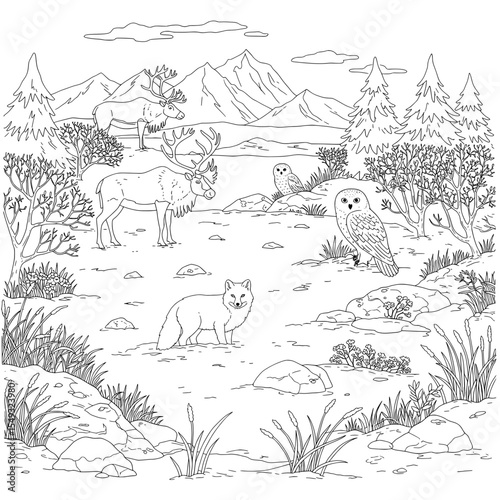Line drawing of arctic landscape featuring reindeer, owls, a fox, mountains, and trees