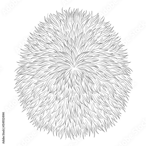 Black and white drawing of many pointy leaves radiating outwards to form a half circle