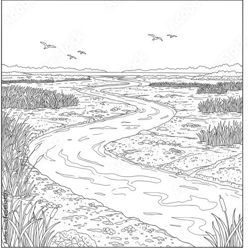 Winding stream flows through the marsh. Seagulls soar above this black and white landscape