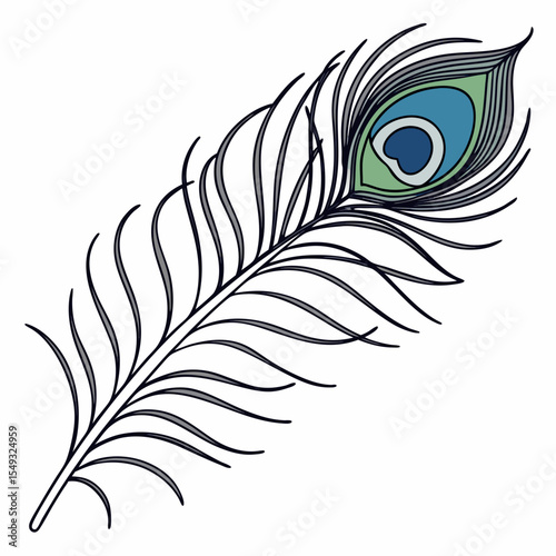 A feather 