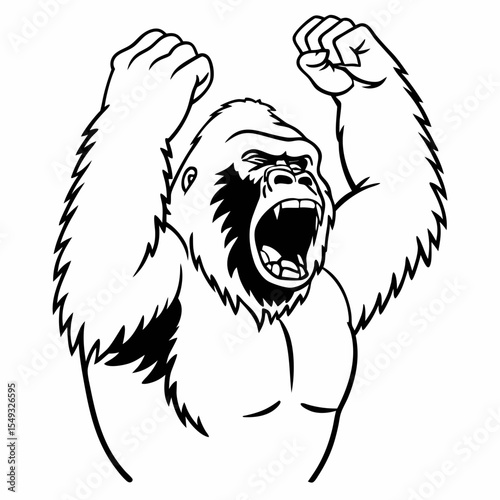 A gorilla is roaring