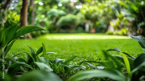 Lush green garden lawn, tropical plants, blurred background, tranquil scene, website banner