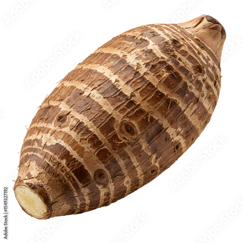 Studio Shot of a Single Taro Root Isolated on White Background