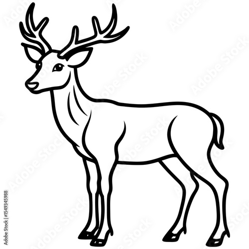 Wapiti and Vole Outline Art in Vector Style