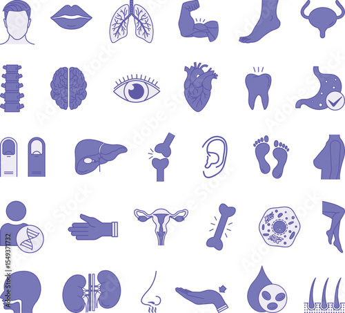 Colored Anatomy Icon Set. Vector Illustrations Head, Eye, Nose, Mouth, Ear, Arm, Leg, Spine, Lungs, Kidneys, Stomach, Liver, Hair, Brain, Heart, DNA, and More