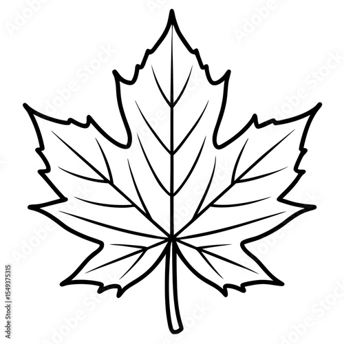 Maple line art vector