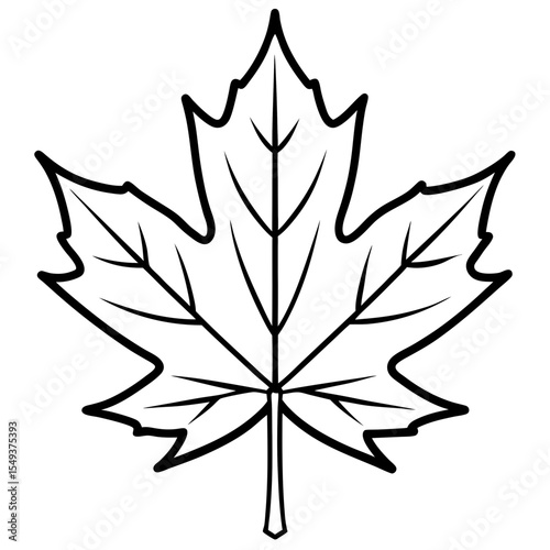Maple line art vector