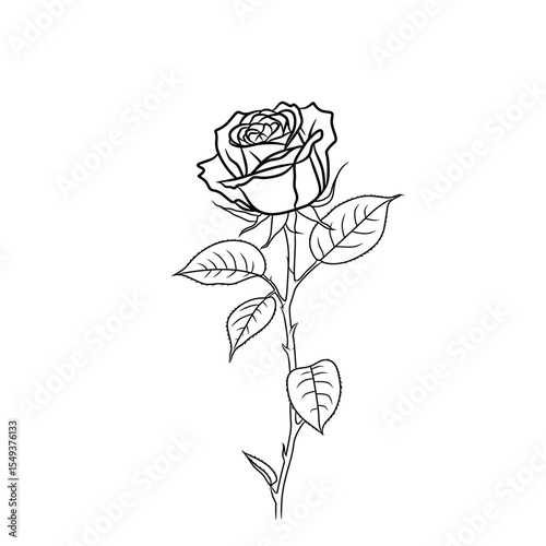Rose flower vector with simple appearance can be used for logos or image complements