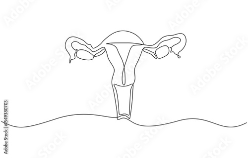 Continuous line drawing of women's Uterus and Ovary. One line Female reproductive system, Woman reproductive system, one line continuous. Line art outline vector illustration of organs.