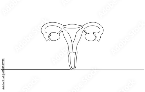 Continuous line drawing of women's Uterus and Ovary. One line Female reproductive system, Woman reproductive system, one line continuous. Line art outline vector illustration of organs.