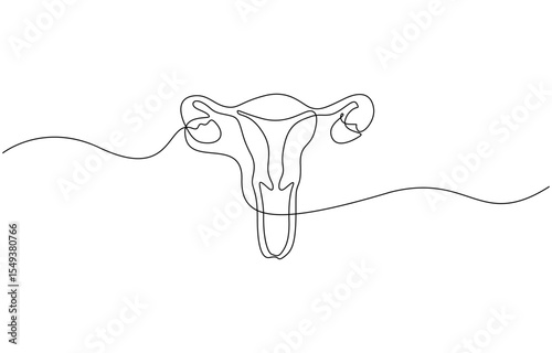 Continuous line drawing of women's Uterus and Ovary. One line Female reproductive system, Woman reproductive system, one line continuous. Line art outline vector illustration of organs.