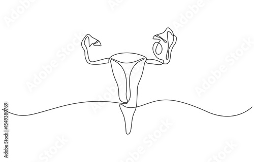 Continuous line drawing of women's Uterus and Ovary. One line Female reproductive system, Woman reproductive system, one line continuous. Line art outline vector illustration of organs.