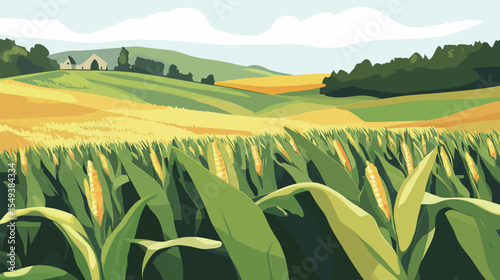 Close-Up of Ripe Corn on the Cob in Green Field – Fresh Agricultural Harvest Concept