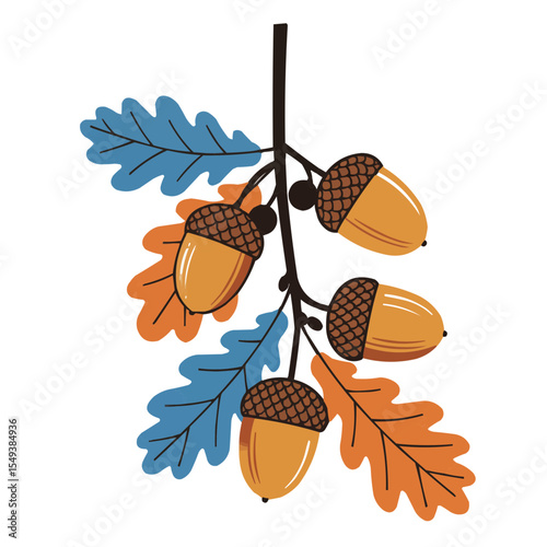 Oak branch with acorns and colorful leaves in autumn style  