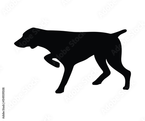 pointer hunting dog silhouette, pointer hunting dog graphic art