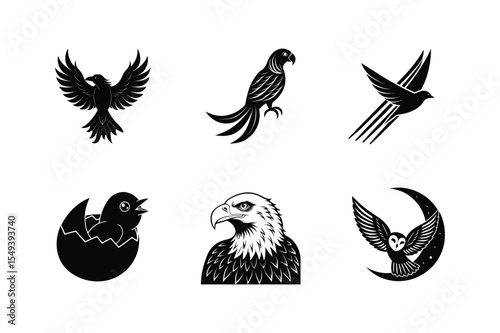 Six black bird silhouettes collection graphic design