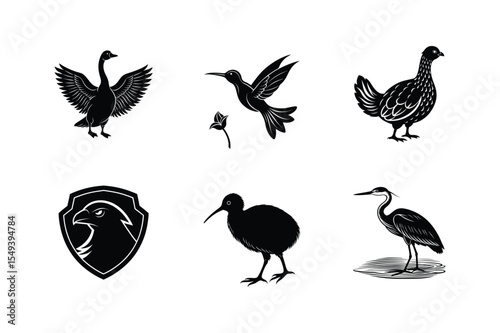 Six black silhouettes of various birds