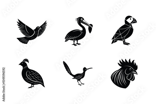 Six black silhouettes of various birds