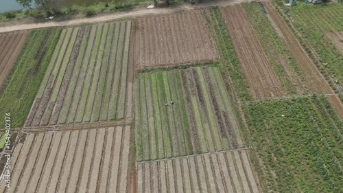 Aerial view of scenic landscape of agriculture farm at rural country